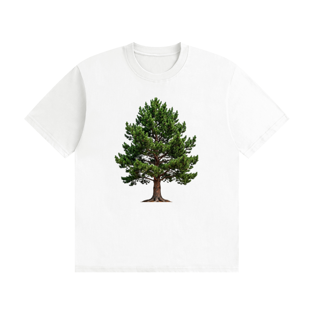 Tree,pine,nature,green