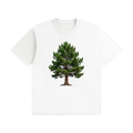Tree,pine,nature,green