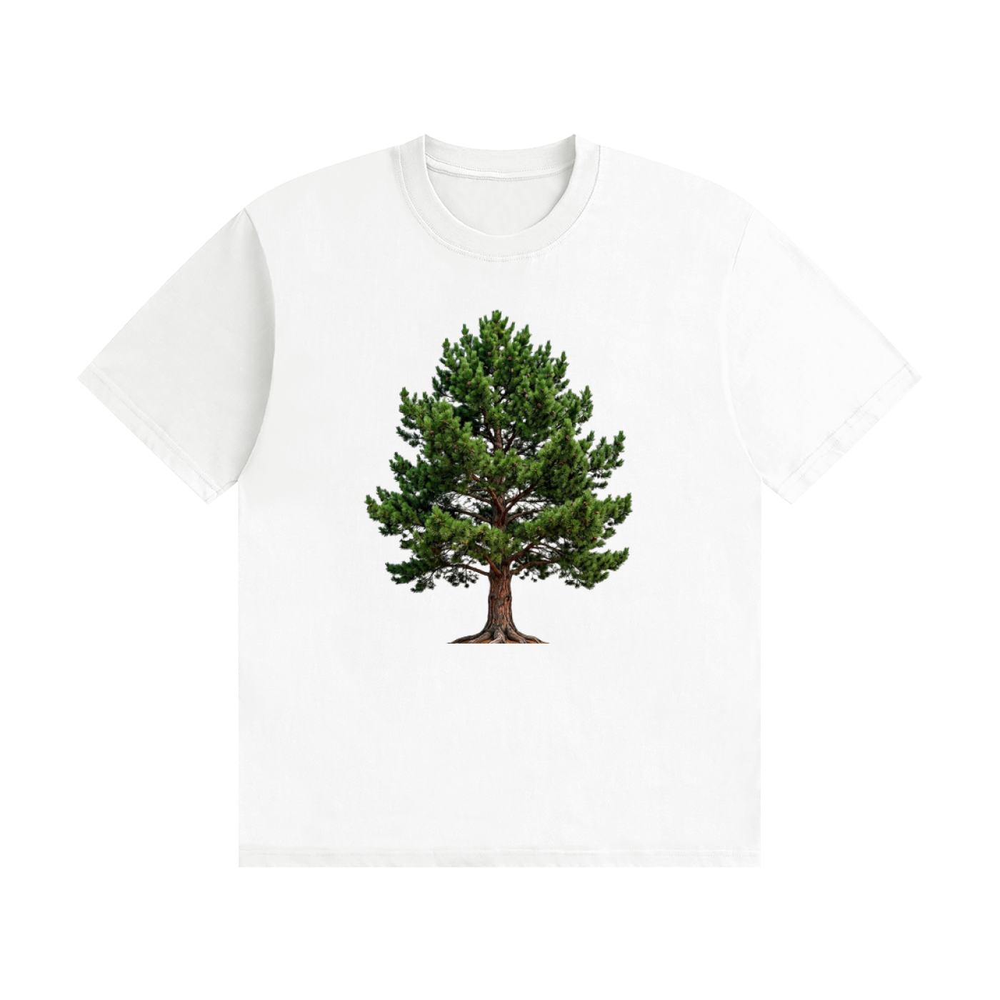 Tree,pine,nature,green