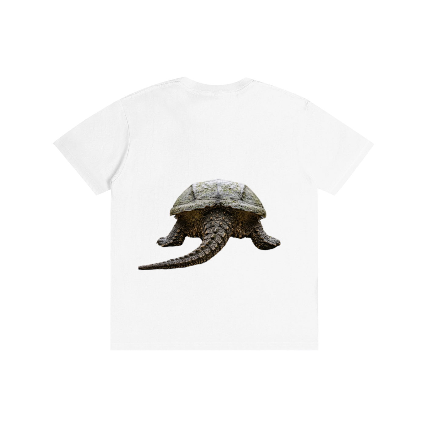 turtle,snapping