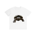 turtle,snapping